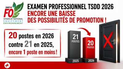 Examen professionnel TSDD 2026