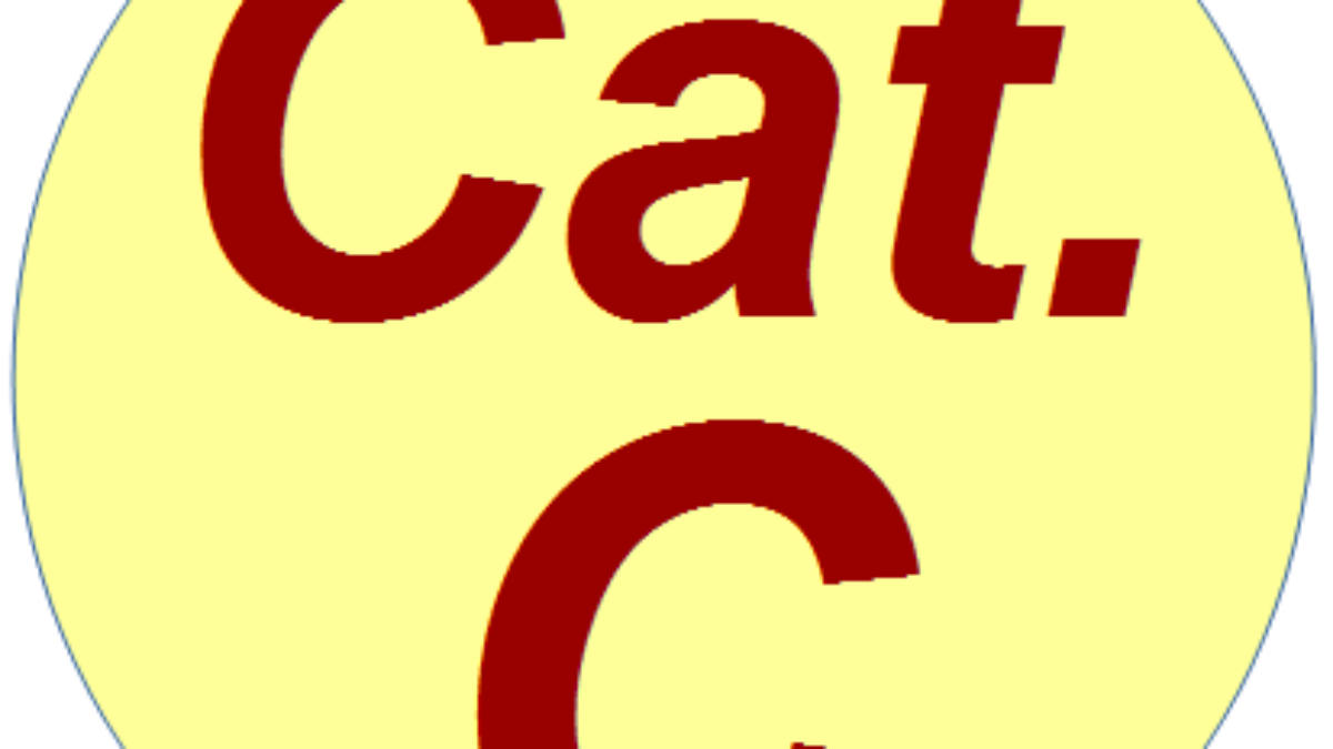 CATÉGORIE C : Calculateur de promotion de C3 en B1 au 1er janvier 2019